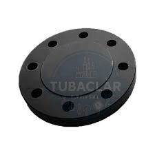 3 PLG BRIDA CIEGA ANSI 300 RF