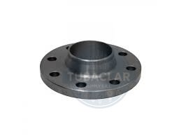 3 PLG BRIDA W/N ANSI 300 RF