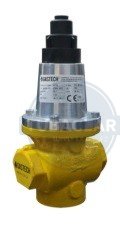 1 PLG VALVULA DE ALIVIO PARA GAS ROSCADO NPT